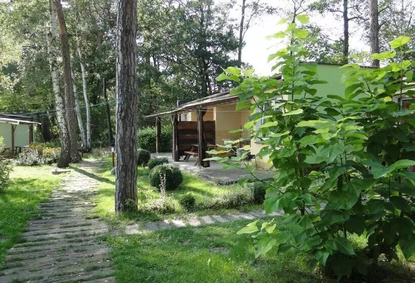 リゾートホテル Sławska Poręba