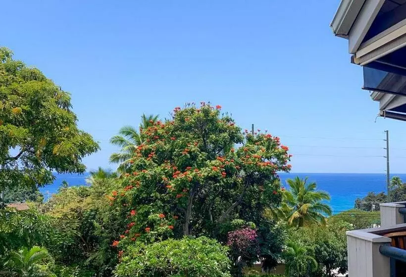 هتل A Little Aloha