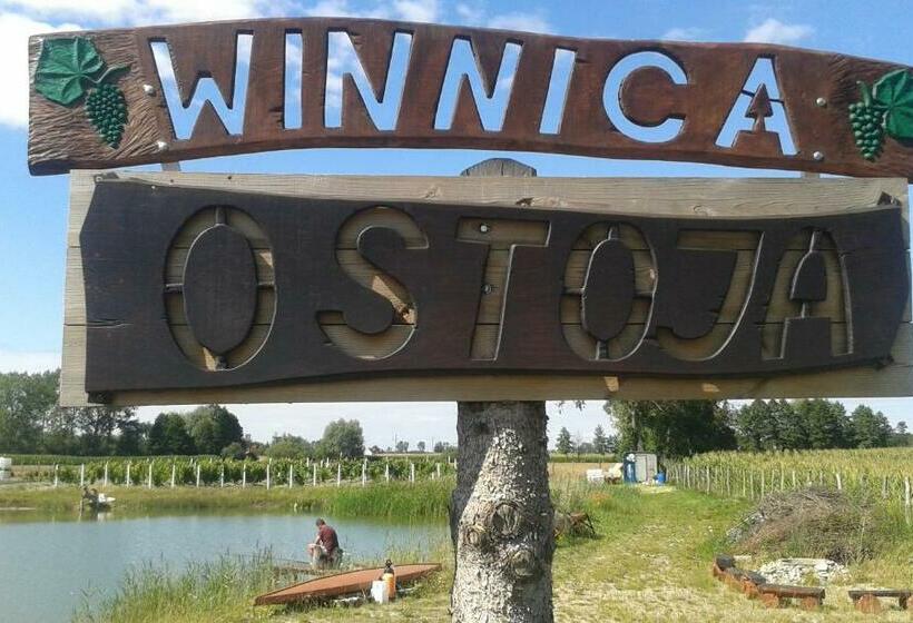 酒店 Agroturystyka Willa Ola