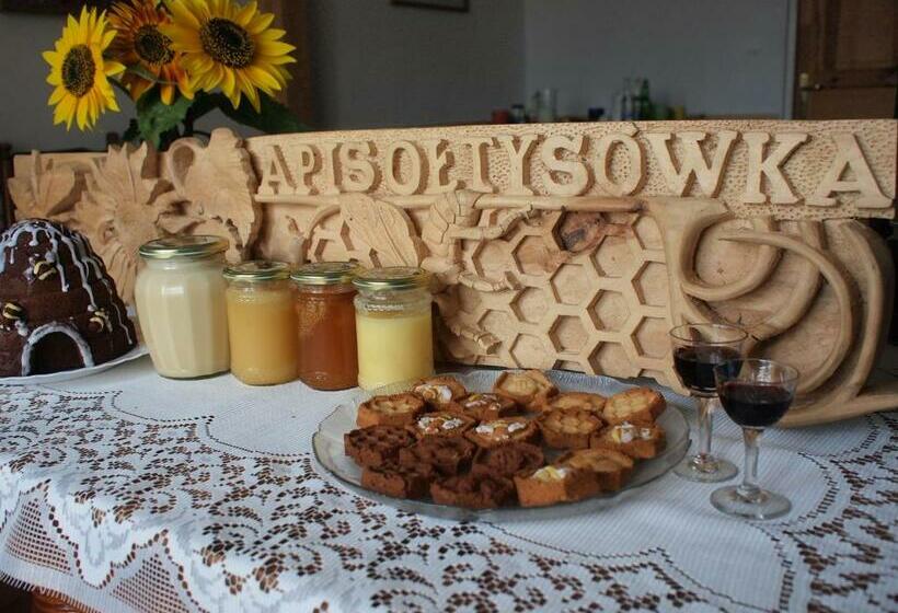 בית מלון כפרי Apisoltysowka