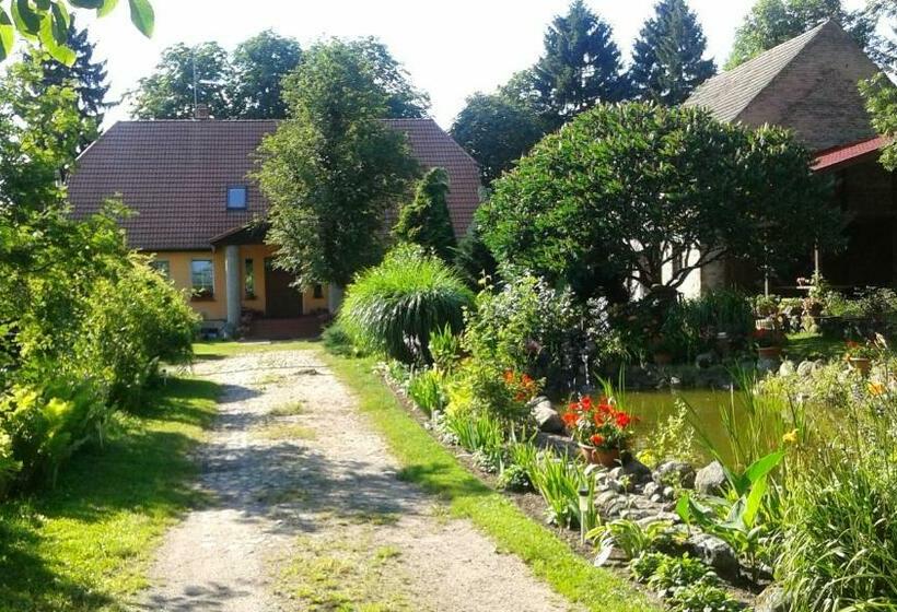 酒店 Dworek Albinia