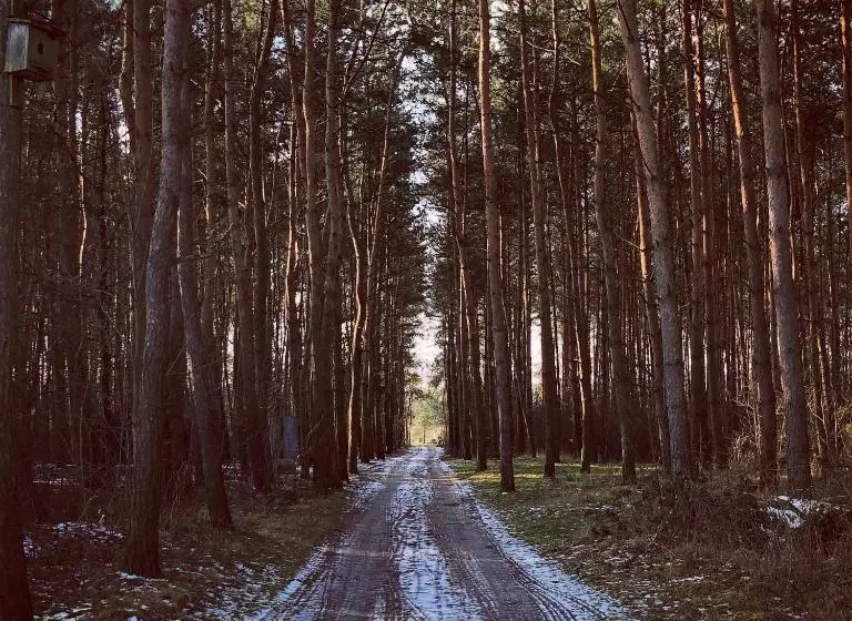 Hotelli Dworek Pod Wiechą