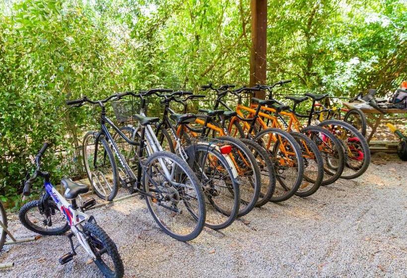 هتل Fresia Quadrilocale