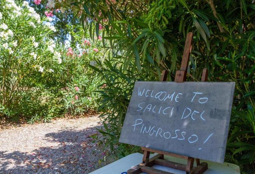 هتل Fresia Quadrilocale