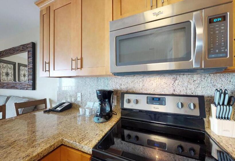 فندق Vitamin Sea