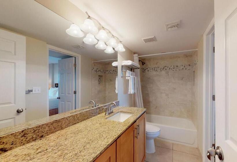 فندق Vitamin Sea