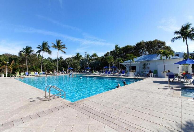 فندق Vitamin Sea