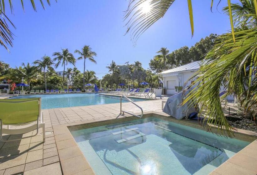 فندق Vitamin Sea