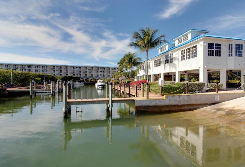 فندق Vitamin Sea