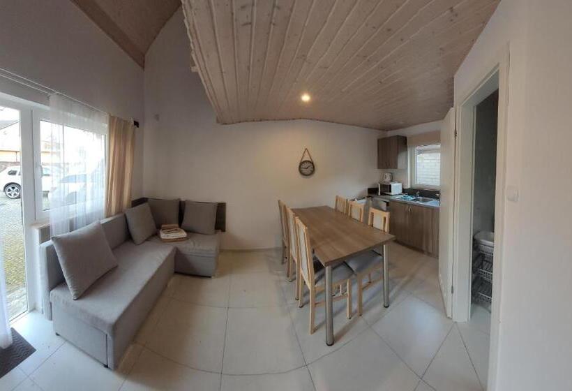 פנסיון Dom Gościnny Roma