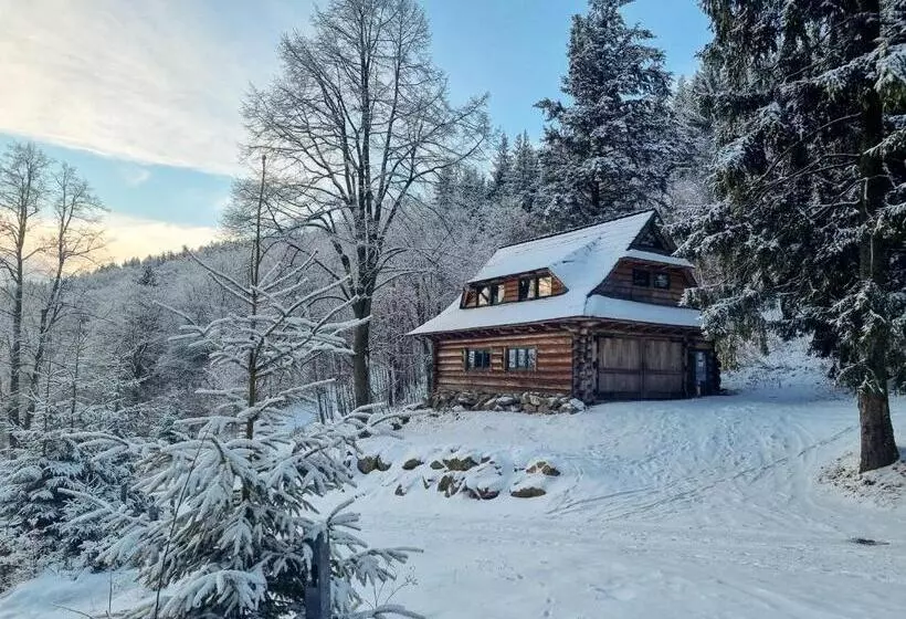 Aamiaismajoitus (B&B) Domek Gã³rski Przy Bukowej Chacie