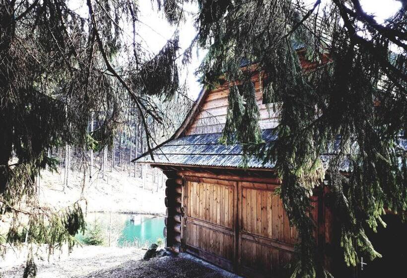 住宿加早餐 Domek Gã³rski Przy Bukowej Chacie