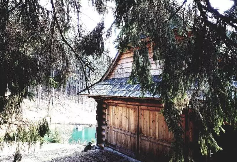 Aamiaismajoitus (B&B) Domek Gã³rski Przy Bukowej Chacie