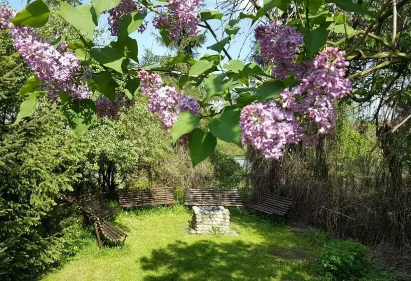 Aamiaismajoitus (B&B) Willa Granit