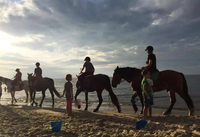 Aamiaismajoitus (B&B) Zorza