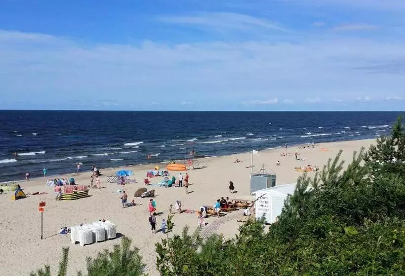 Aamiaismajoitus (B&B) Zorza