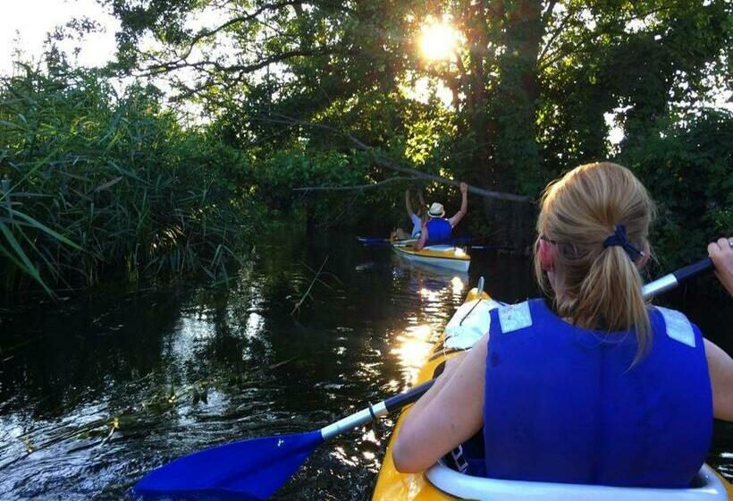 Domek Pod Wiciokrzewem