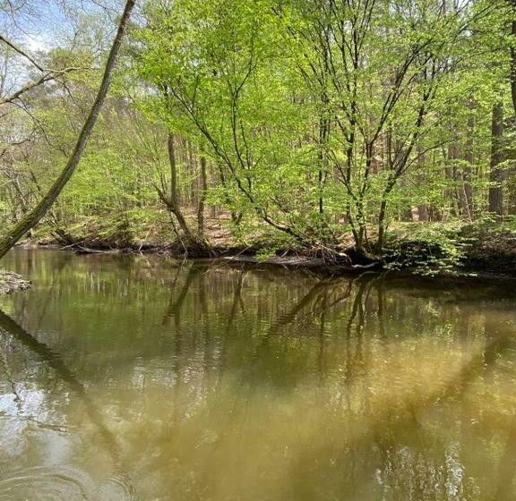 בית מלון כפרי Agroturystyka Gęsiniec Stare Osieczno