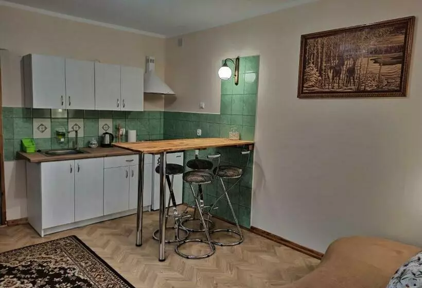 ホテル Bora Zdrój Apartament