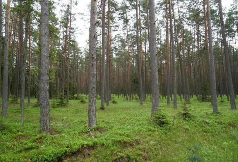 Отель Dobra Chata Jaśkowo