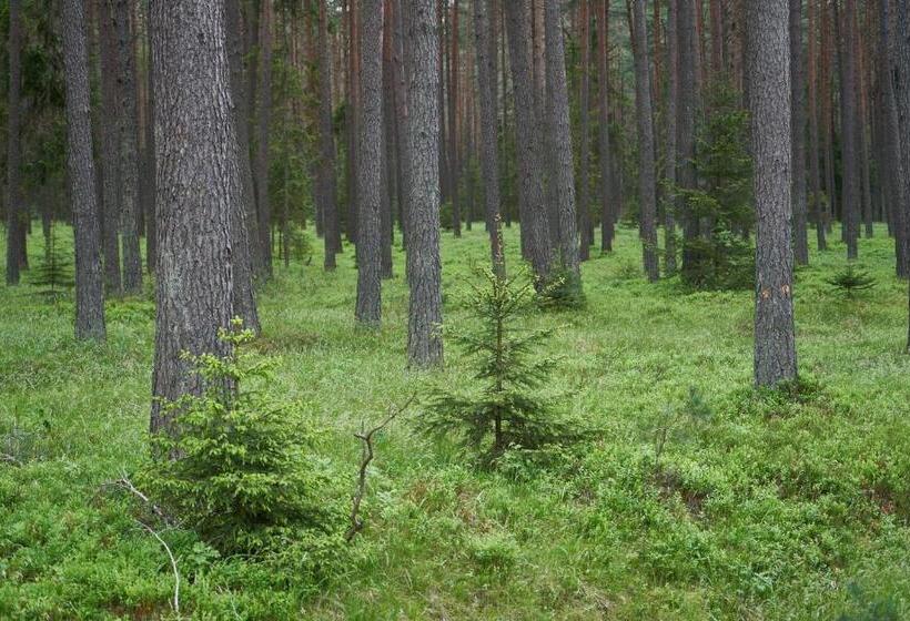 Отель Dobra Chata Jaśkowo
