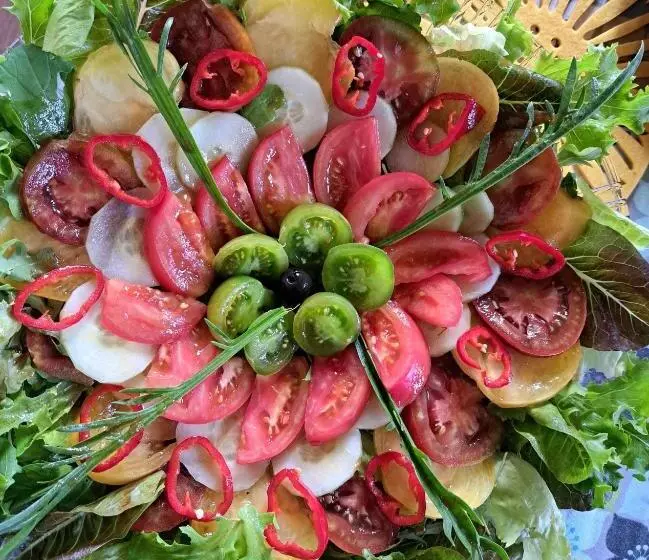ホテル Gajraj