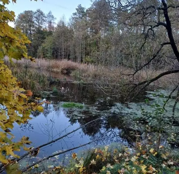 ホテル Ośrodek Wypoczynkowy Kozioł