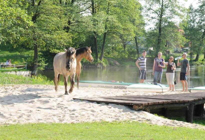 호텔 Ośrodek Wypoczynkowy Kozioł