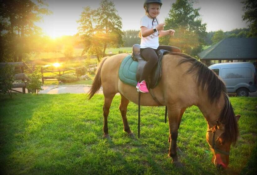 호텔 Ośrodek Wypoczynkowy Kozioł