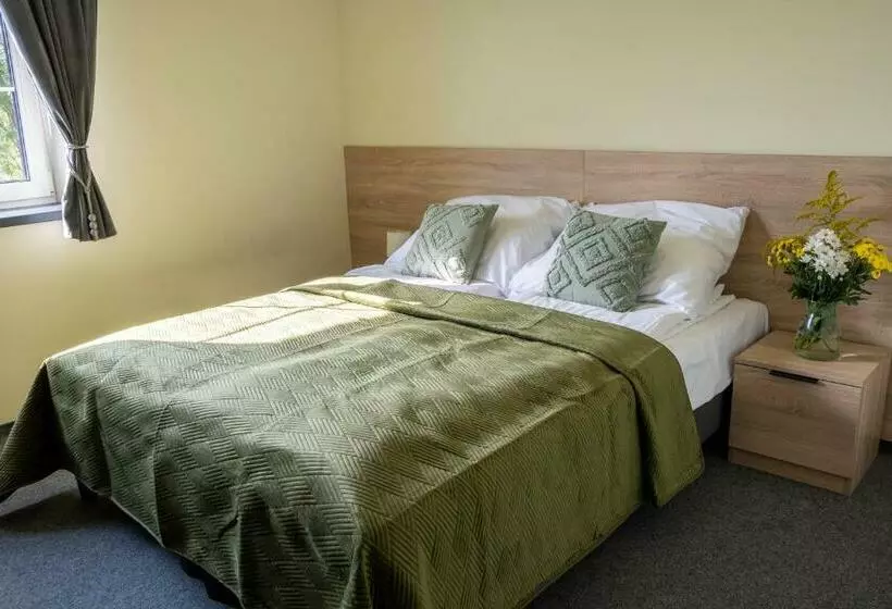 Hotelli Przy Skarpie Rozbark