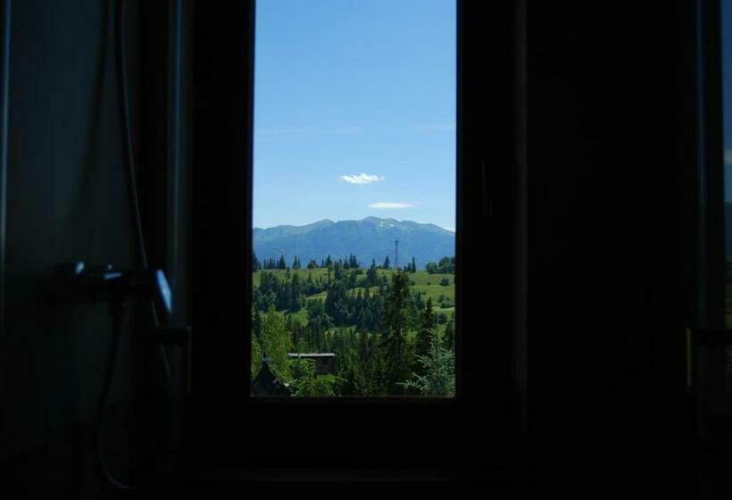 Отель Willa Cisyna