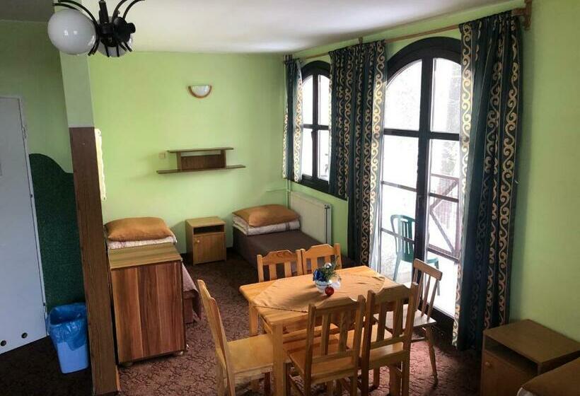 Międzynarodowe Schronisko Młodzieżowe Ptsm Szarotka