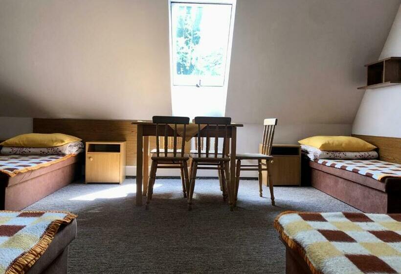 Międzynarodowe Schronisko Młodzieżowe Ptsm Szarotka