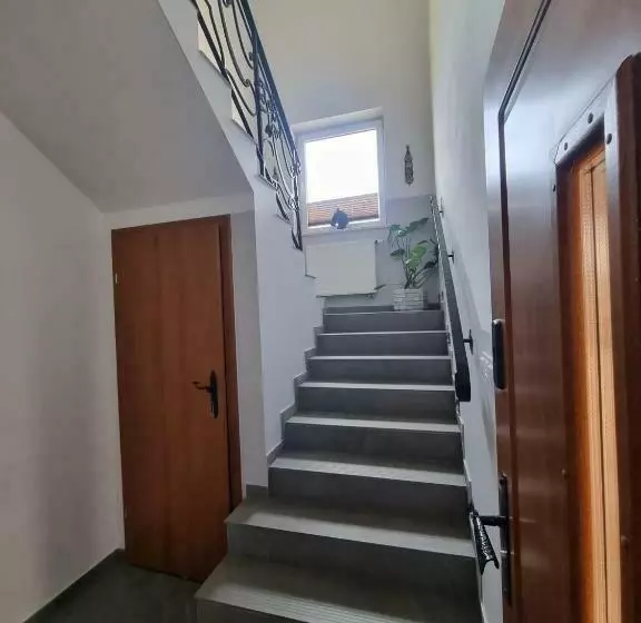 ペンション Black Horse Apartament’s