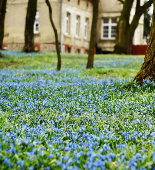 膳宿费 Palac Osowo Gostynskie