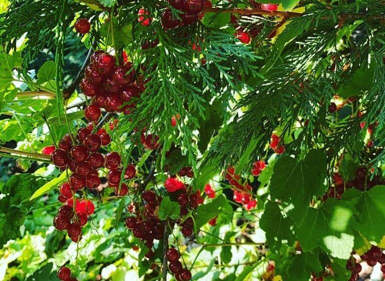 膳宿费 Palac Osowo Gostynskie