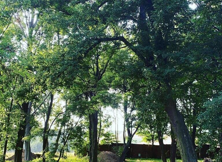 膳宿费 Palac Osowo Gostynskie