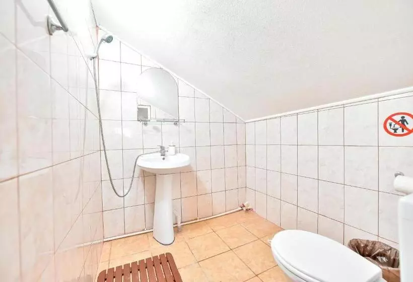 ペンション Vila Haven   Camere De Inchiriat