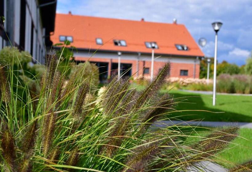 渡假胜地  Mazurskie Centrum Rehabilitacji Dębowa Góra