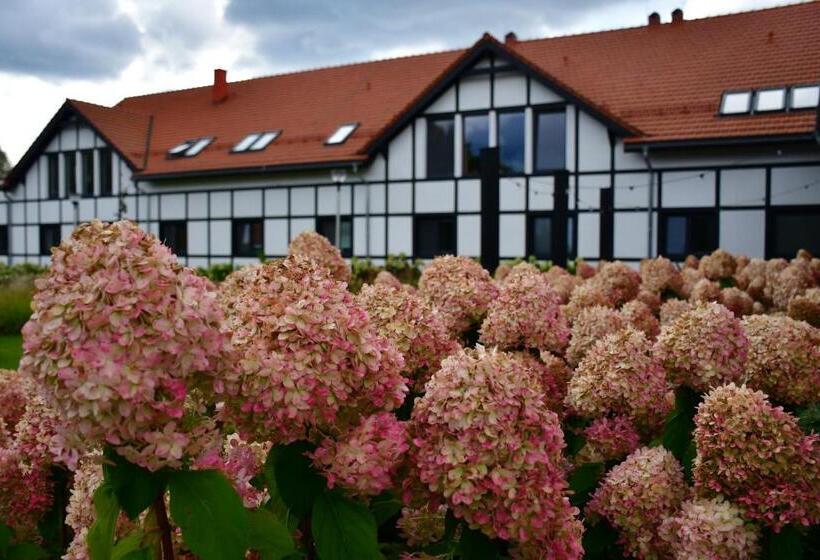 渡假胜地  Mazurskie Centrum Rehabilitacji Dębowa Góra