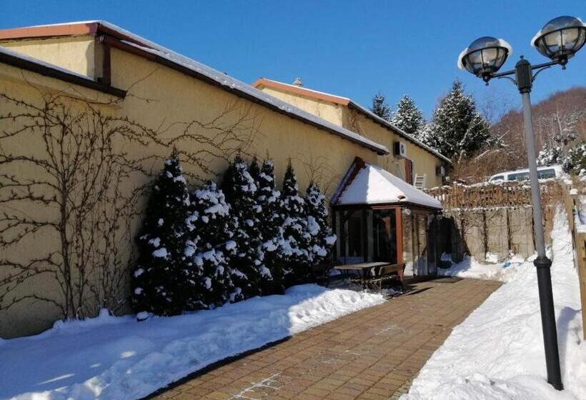 Hostel Zielone Wzgórze