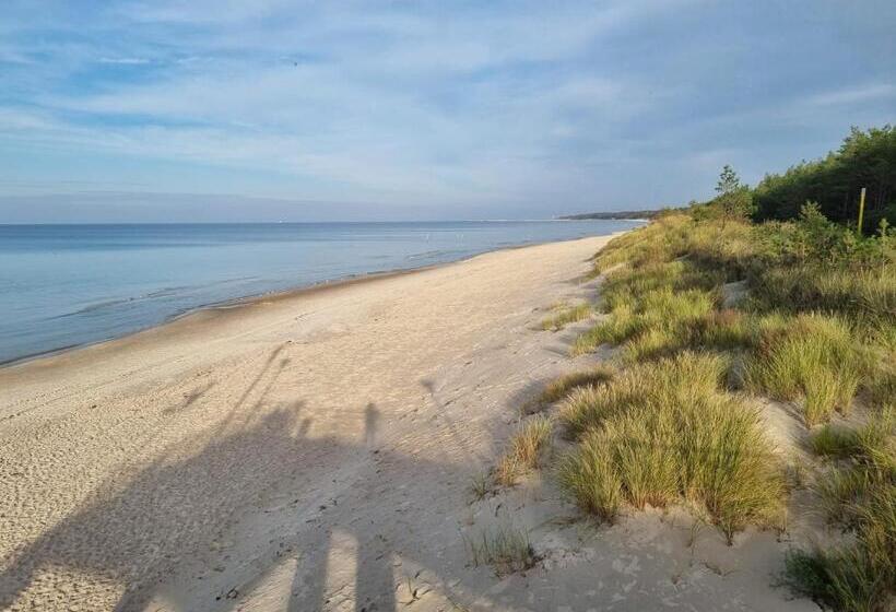 Bed and Breakfast Pensjonat Dziki Zakątek