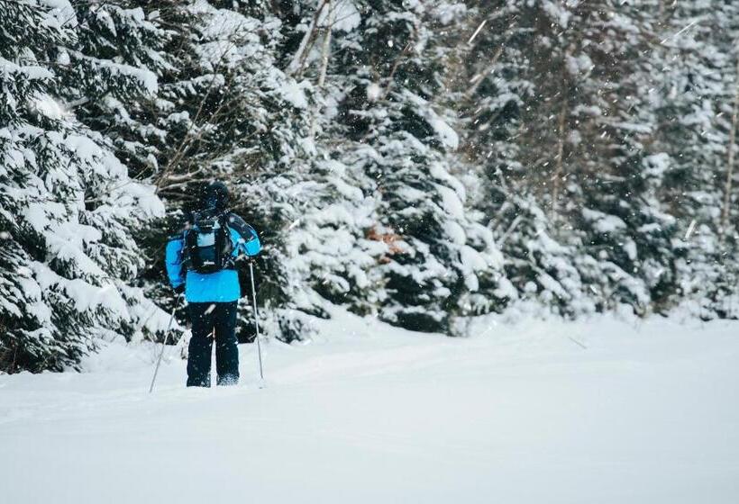 Bed and Breakfast Stacja Szklarska Poręba Cisza I Komfort