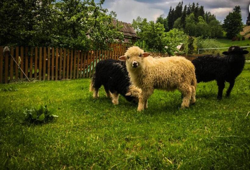 هتل Agrotatry U Stachy