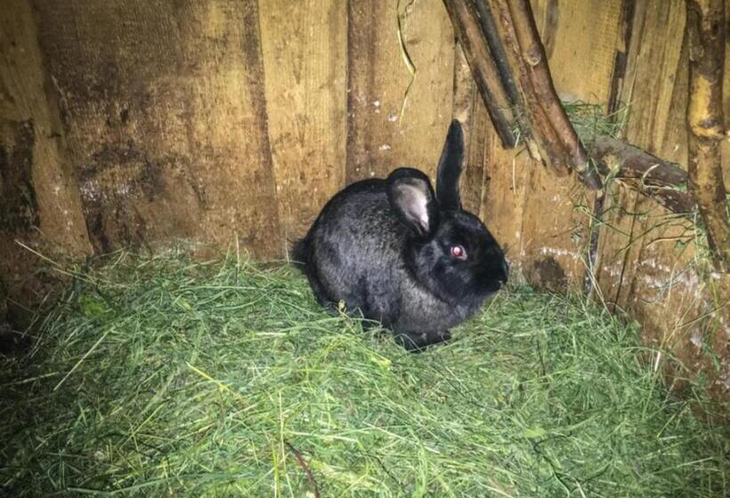 هتل Agrotatry U Stachy