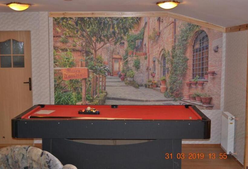 酒店 Agroturystyka Pod śnieżną