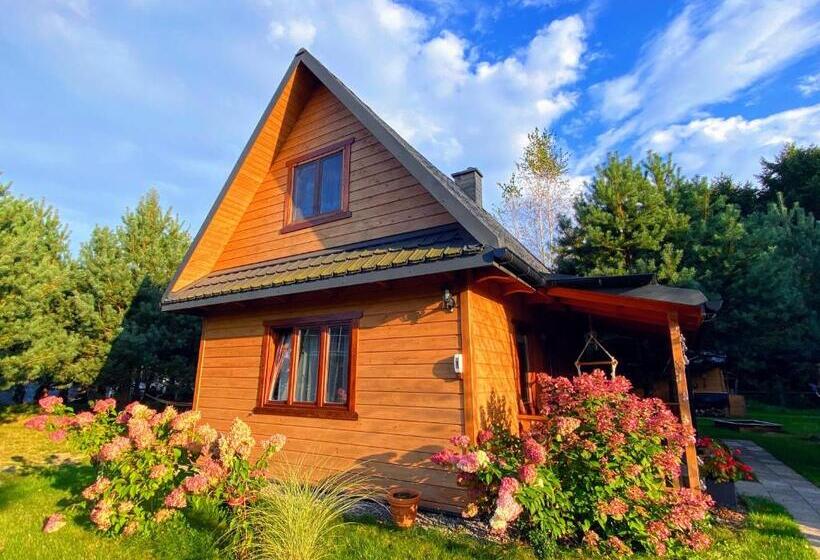 酒店 Agroturystyka Uroki Roztocza