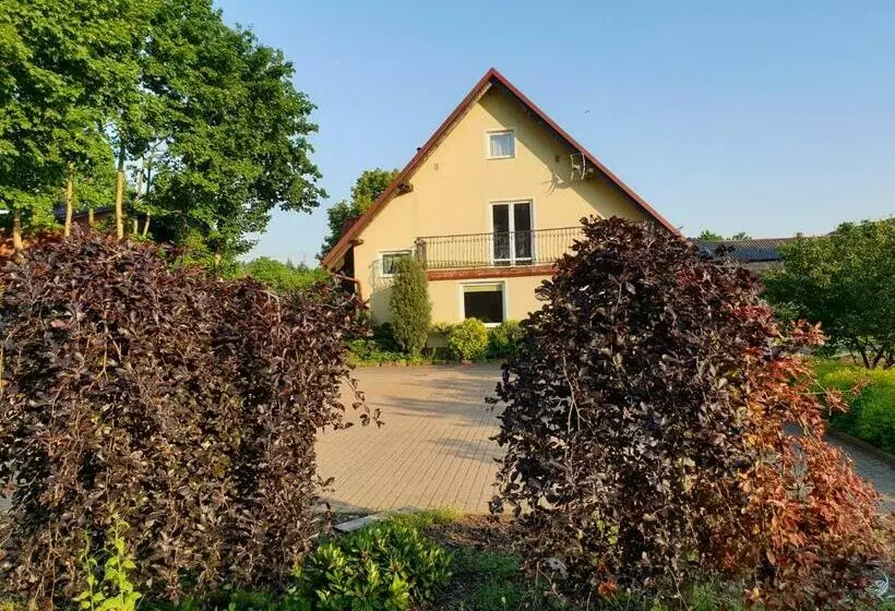 ホテル Gospodarstwo Agroturystyczne Damroka