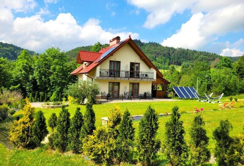 Отель Willa Beskidzka