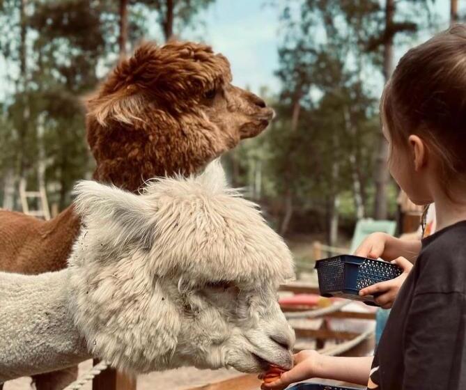 펜션 2 Stodoły Chillout